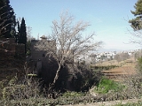 La Alhambra 5